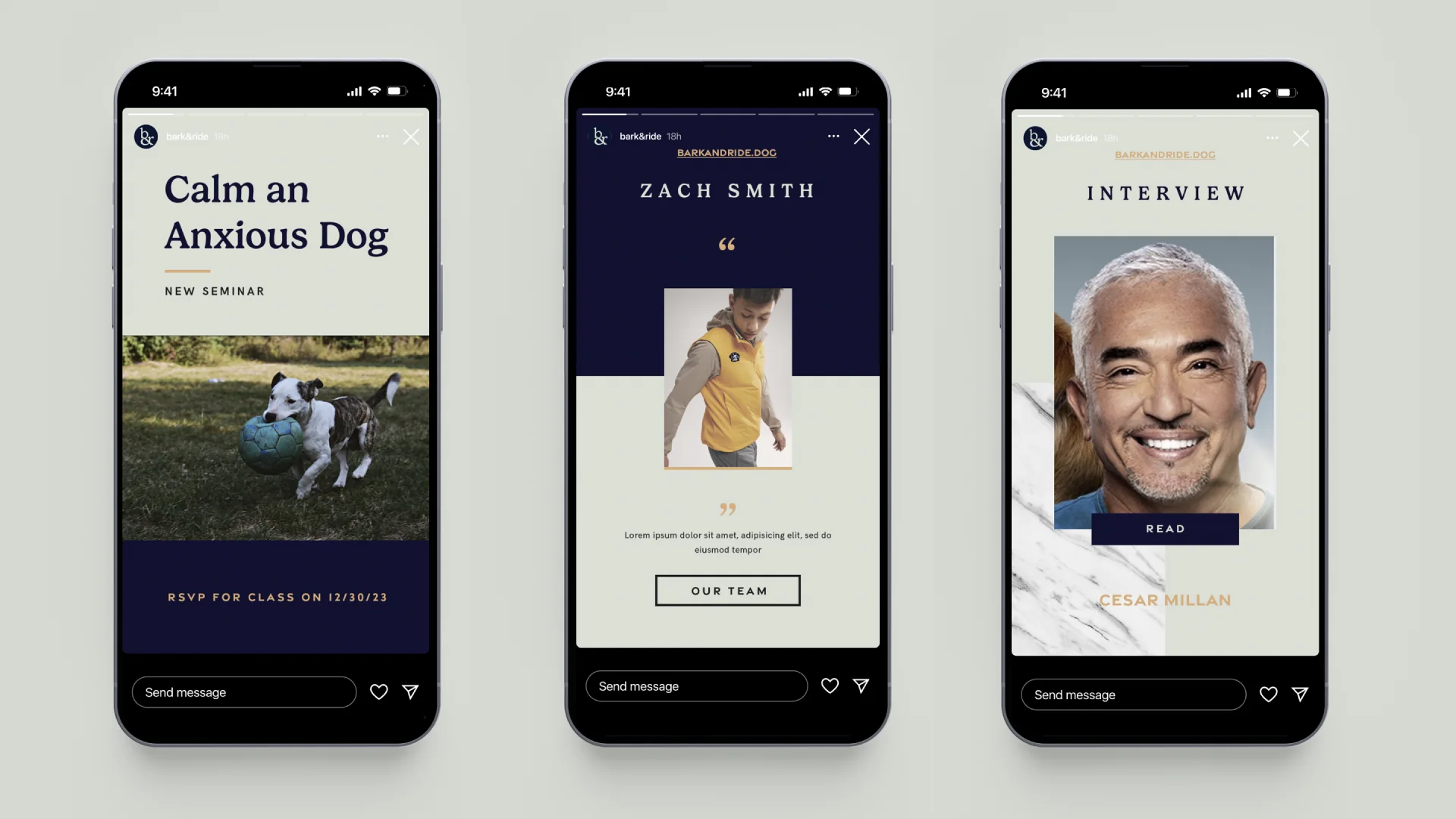 The app: countdown, dog profile, exercise dashboard