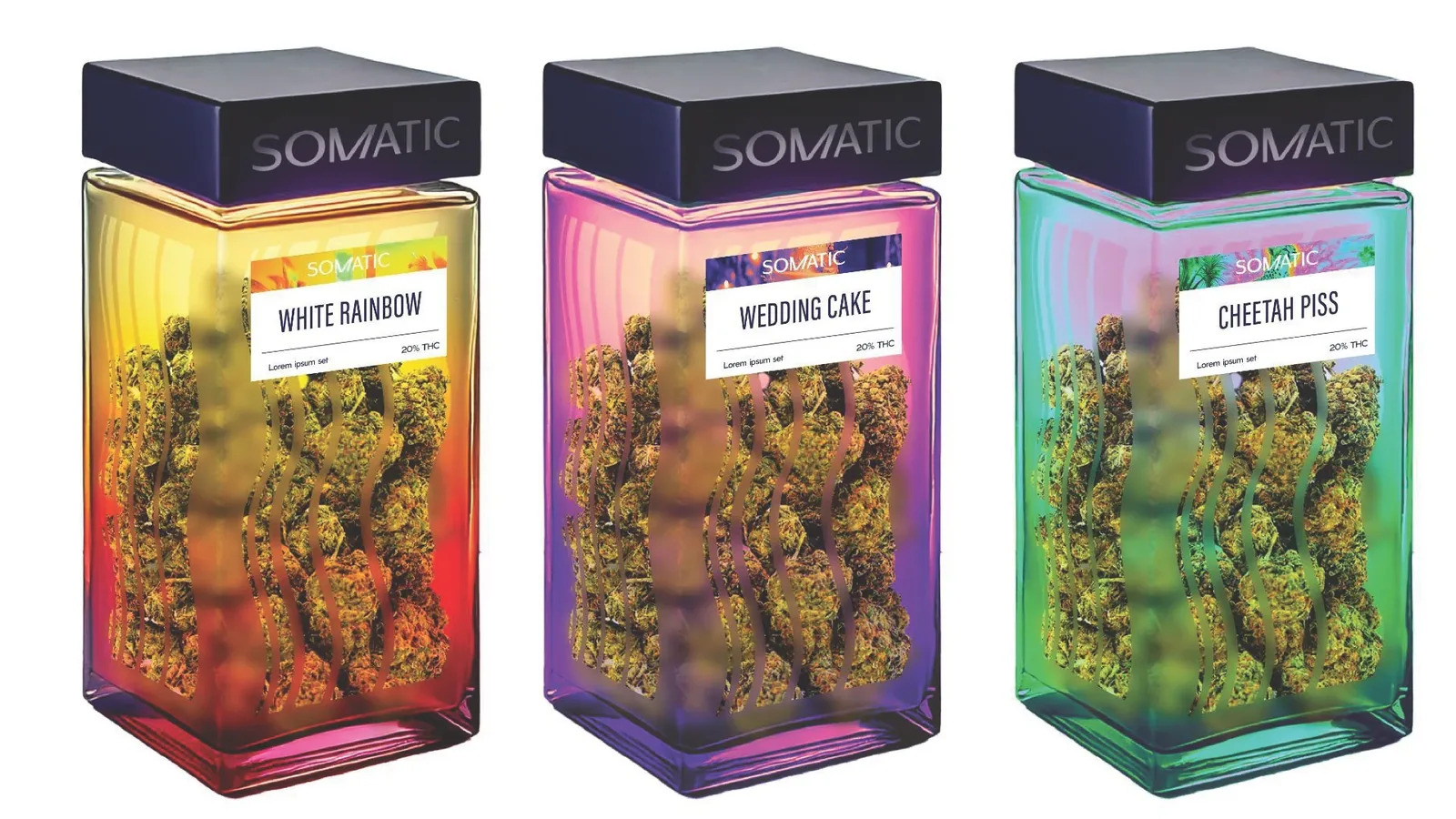 Three Somatic display jars of flower in thermal gradients, labeled White Rainbow, Wedding Cake and Cheetah Piss