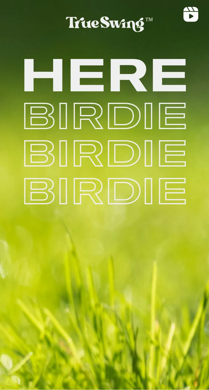 An Instagram reel unit: Here Birdie Birdie Birdie over close grass